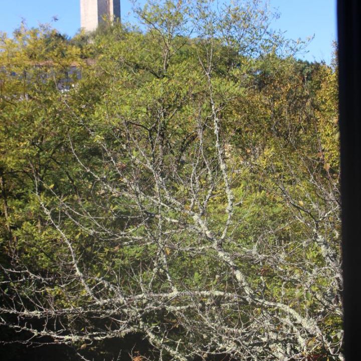 Photo of Others in Montcuq