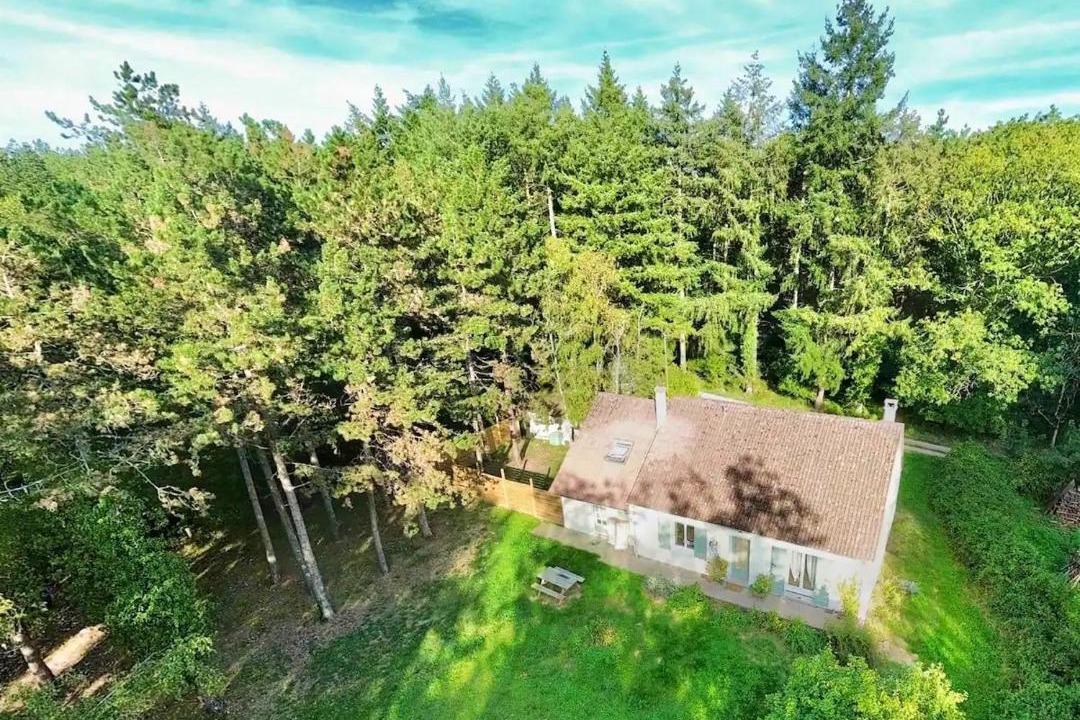 Photo of Others in Chambon-sur-Cisse