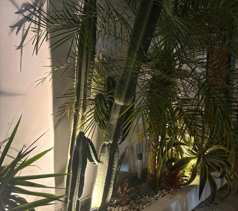 Photo of Others in Dalung