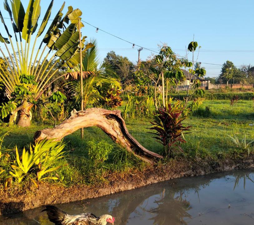 Photo of Others in Kecamatan Kopang