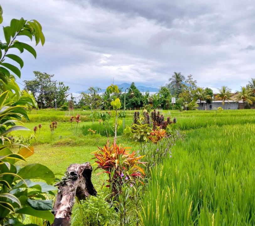 Photo of Others in Kecamatan Kopang
