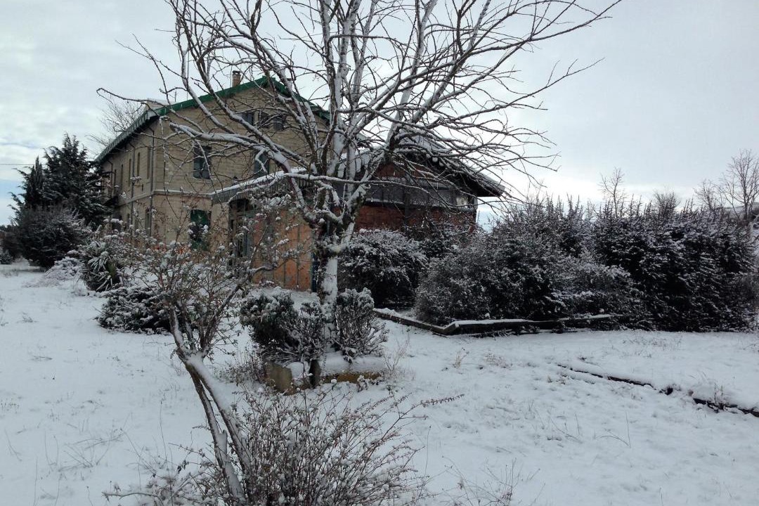 Photo of Buildings in Almazan