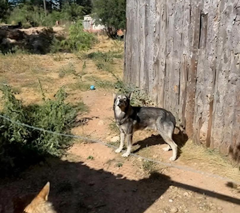 Photo of Others in Ginasservis