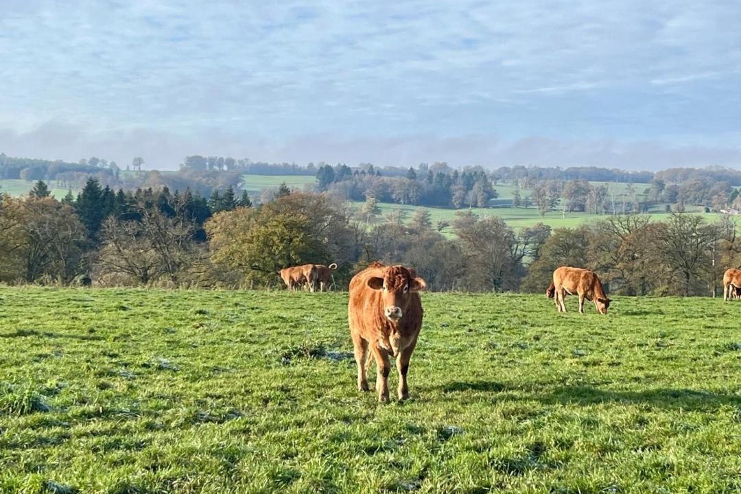 Photo of Others in Nantiat