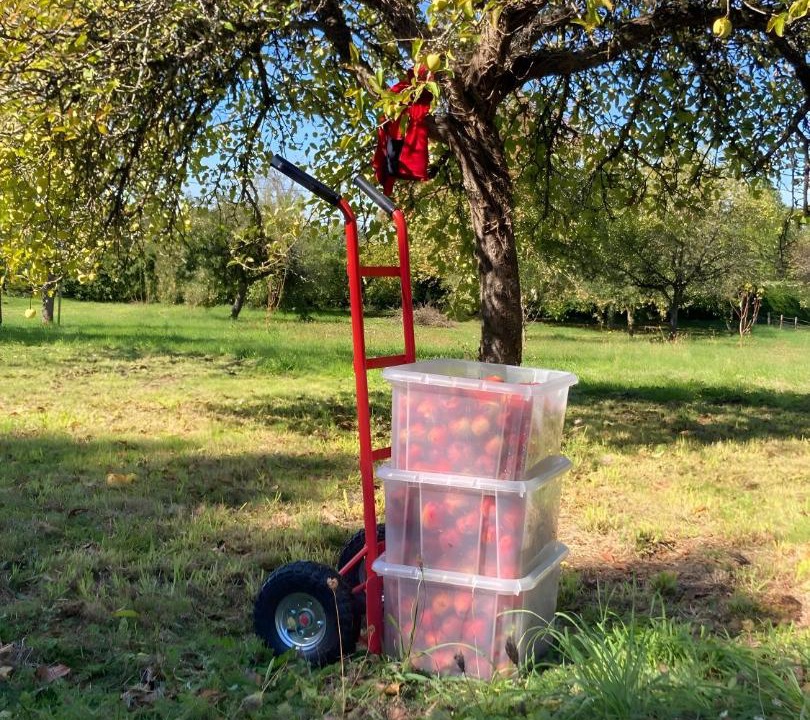 Photo of Others in Nantiat