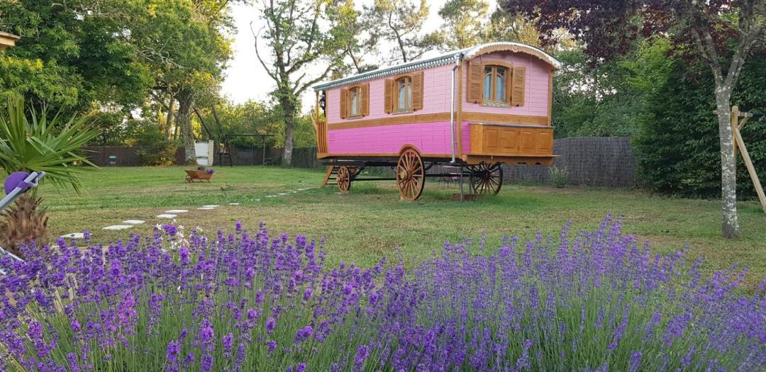 Photo of Others in Bussac-Foret