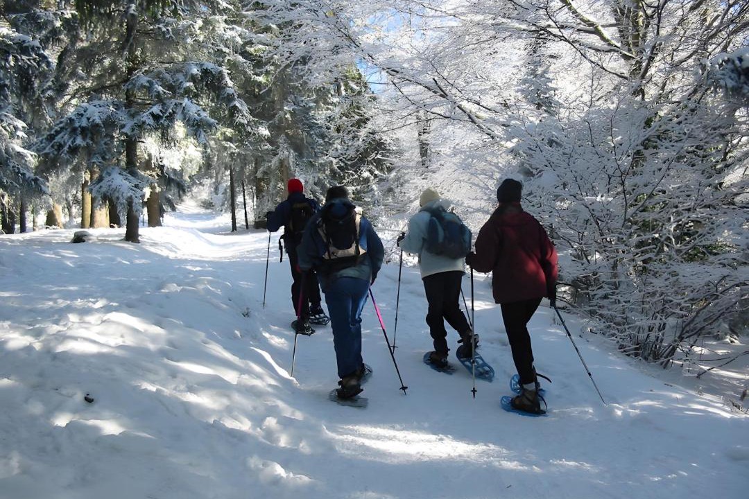 Photo of Others in Orcier