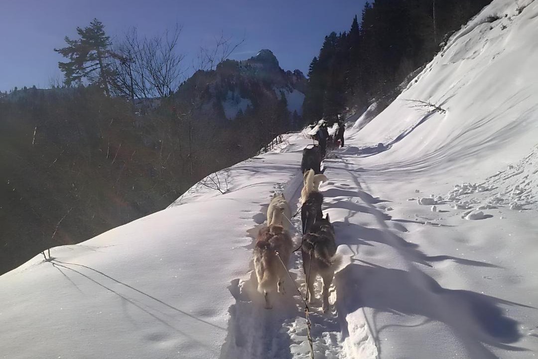 Photo of Others in Orcier