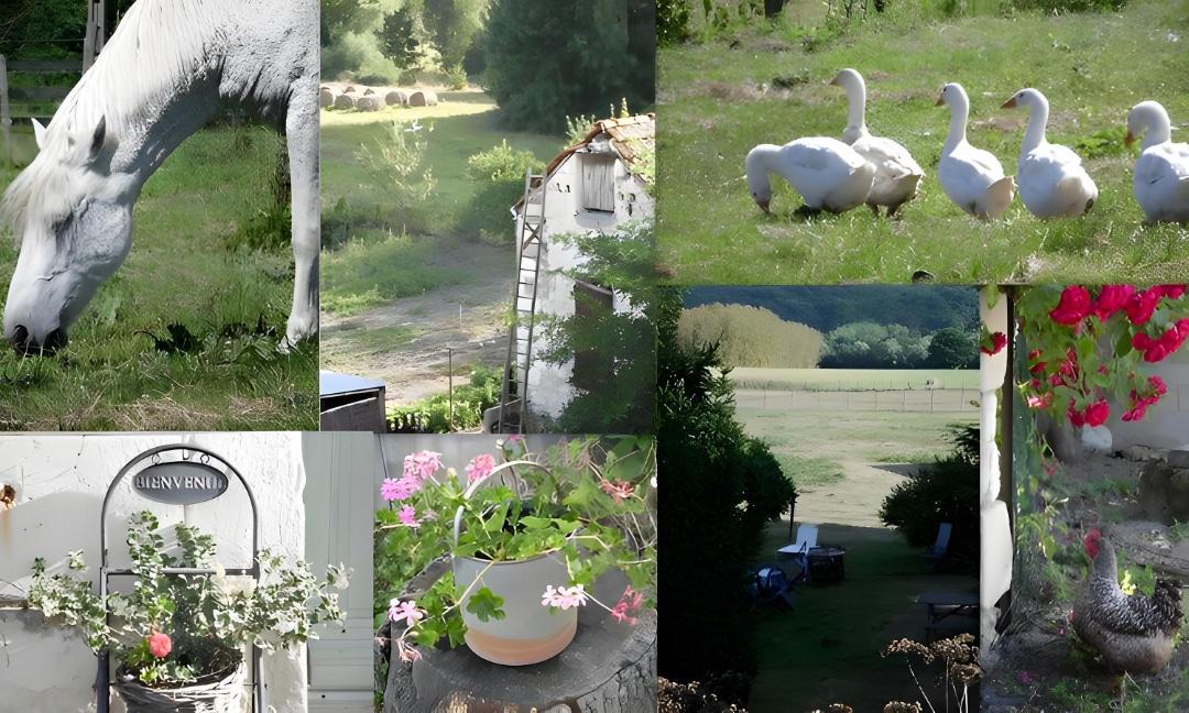 Photo of Others in Rigny-Usse