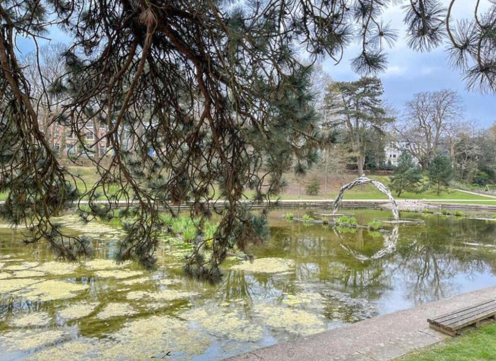 Photo of Others in Stone