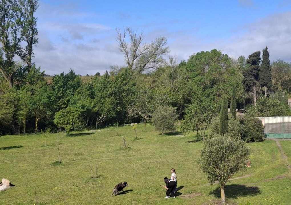 Photo of Others in Villegly