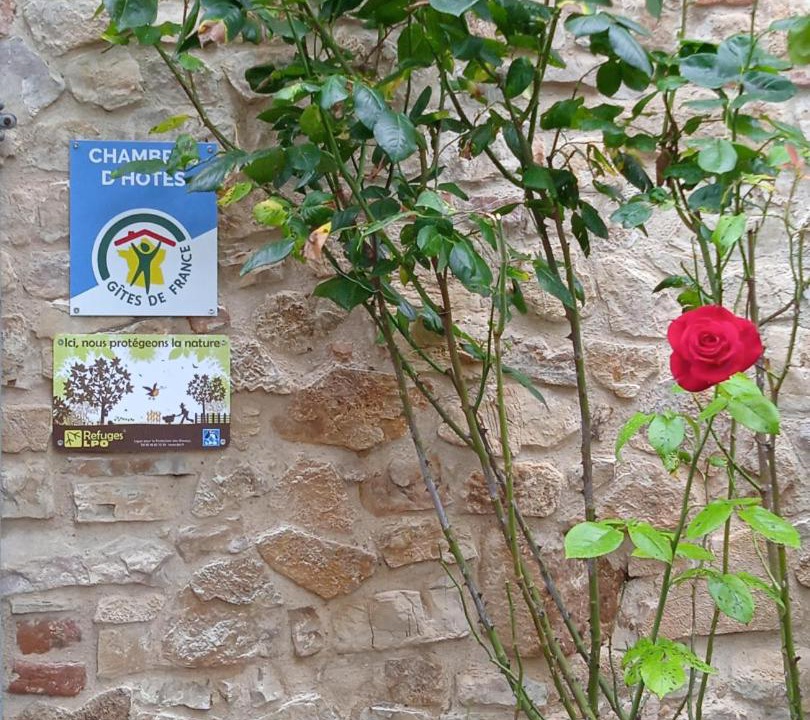 Photo of Others in Cordes-sur-Ciel