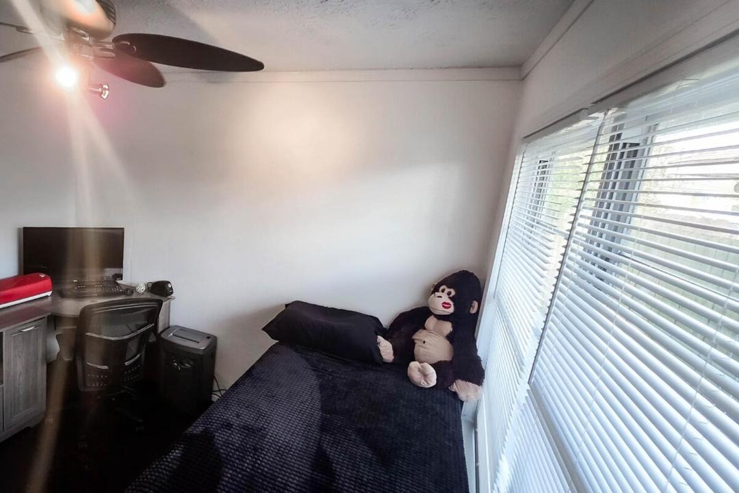 Photo of Others in Houston
