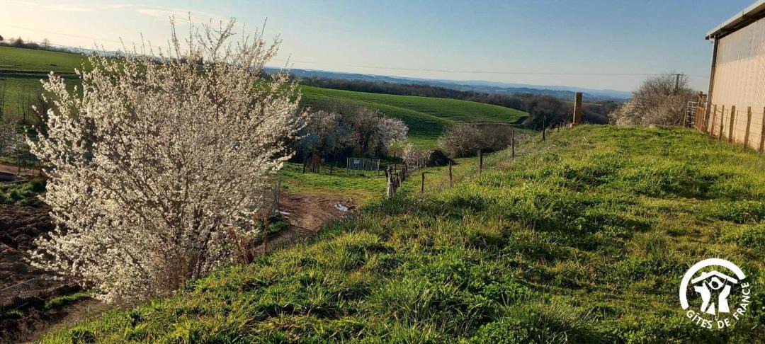 Photo of Others in Terre-Clapier