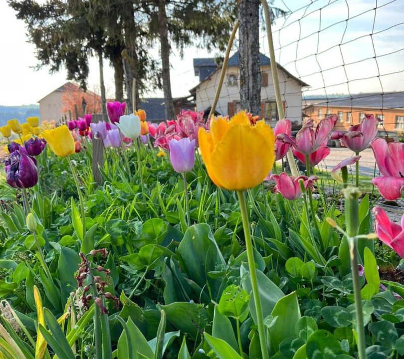 Photo of Others in Assac