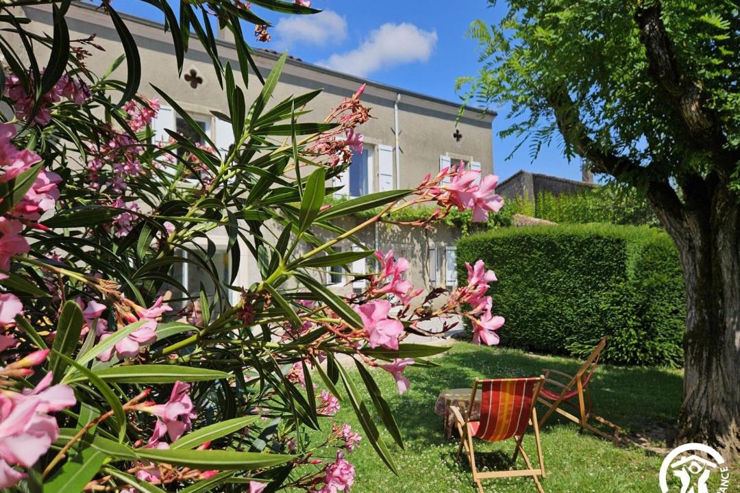 Photo of Others in Castres