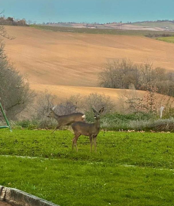 Photo of Others in Lezat-sur-Leze
