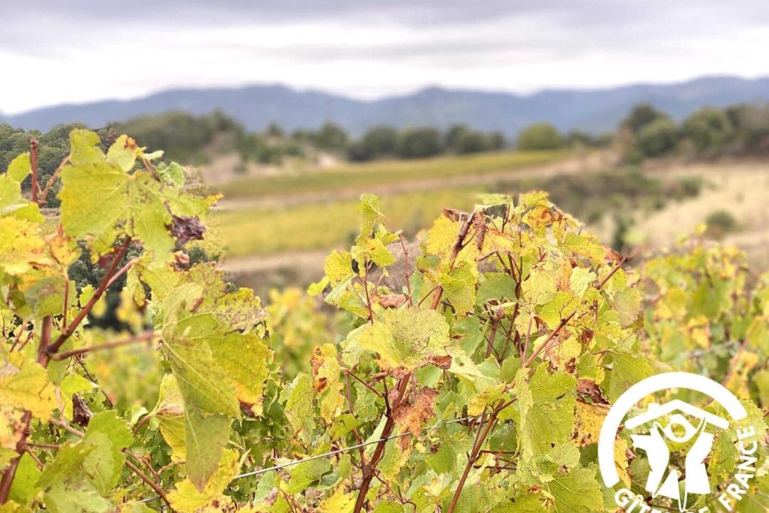 Photo of Others in Gardie