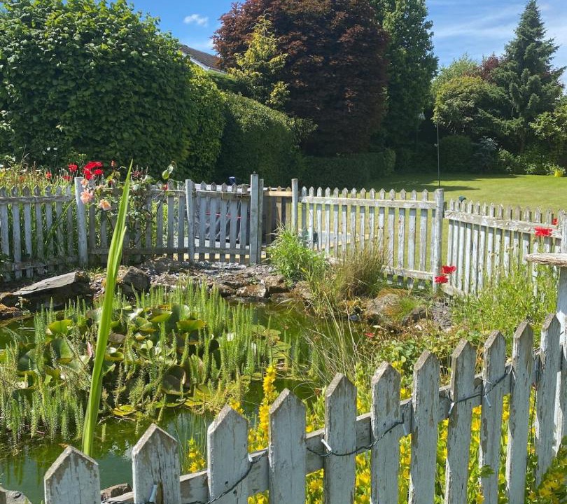 Photo of Others in Stourbridge