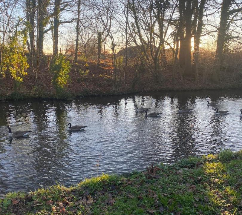 Photo of Others in Stourbridge