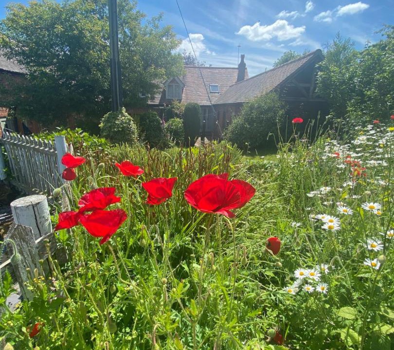 Photo of Others in Stourbridge