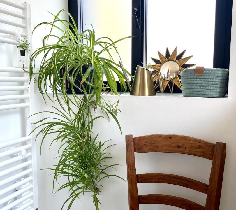 Photo of Others in Les Iffs