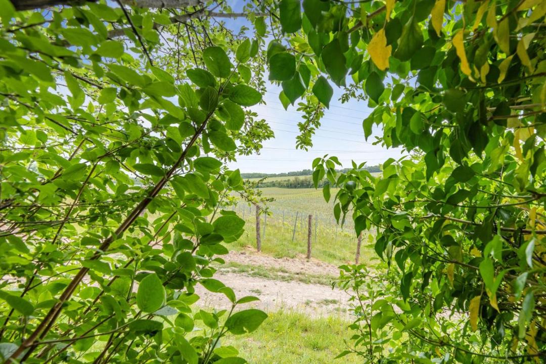 Photo of Others in Luddesdown