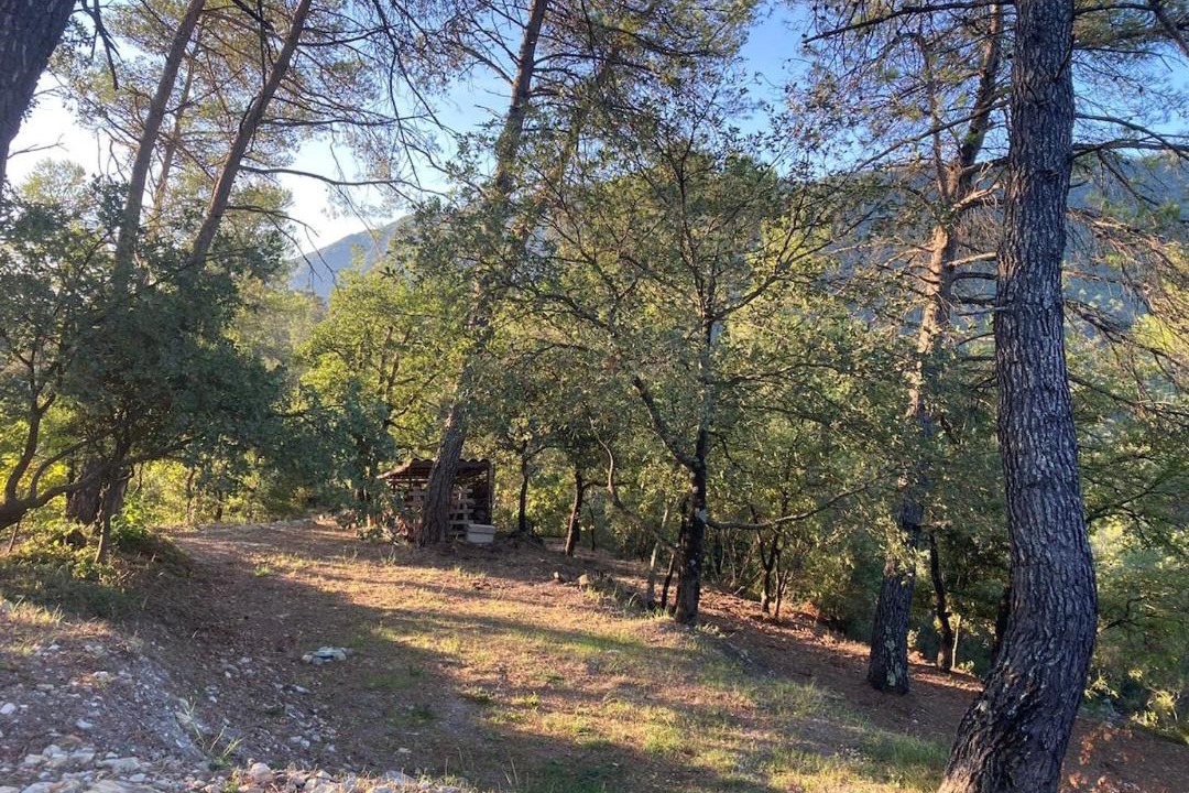 Photo of Others in Toudon