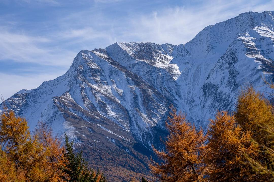 Photo of Others in Riederalp
