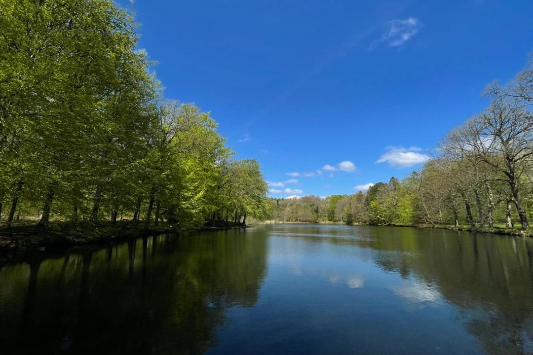 Photo of Others in Tistrup