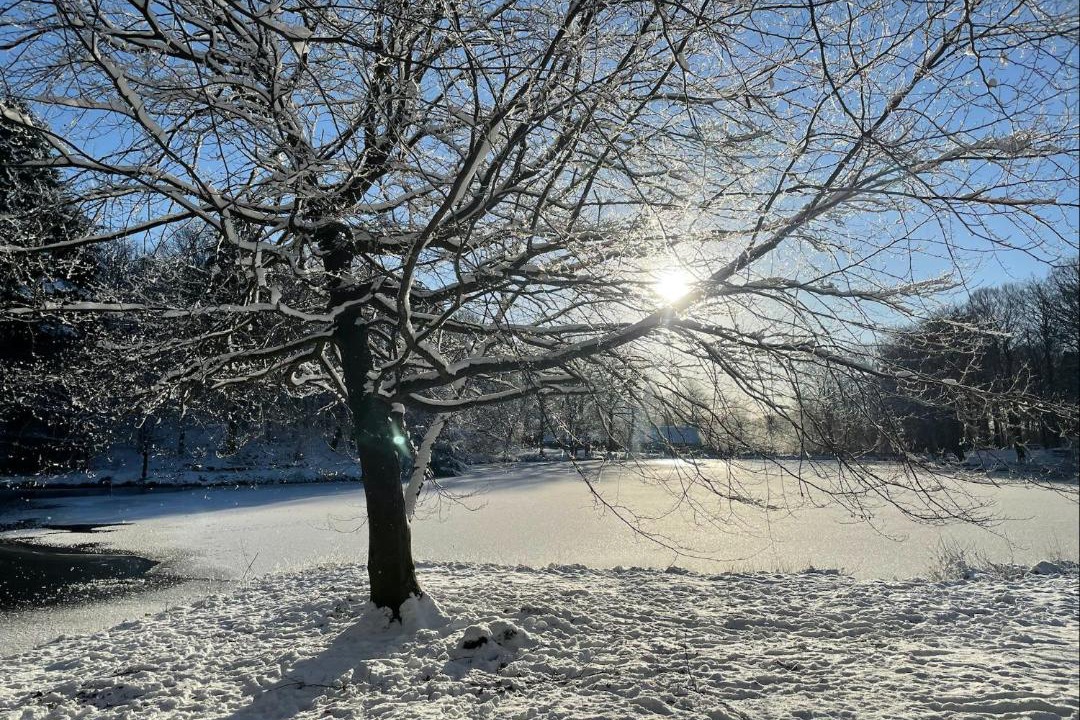 Photo of Others in Tistrup