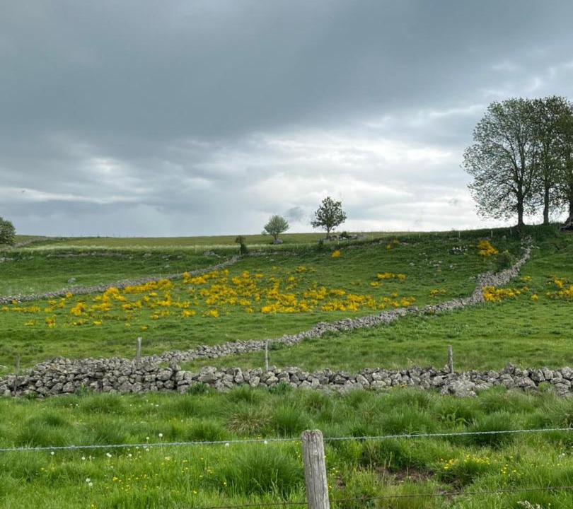 Photo of Others in Saint-Chely-d'Aubrac