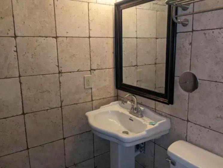 Photo of Others in Shelley