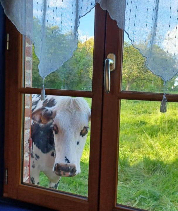 Photo of Others in Saint-Aubin-de-Bonneval