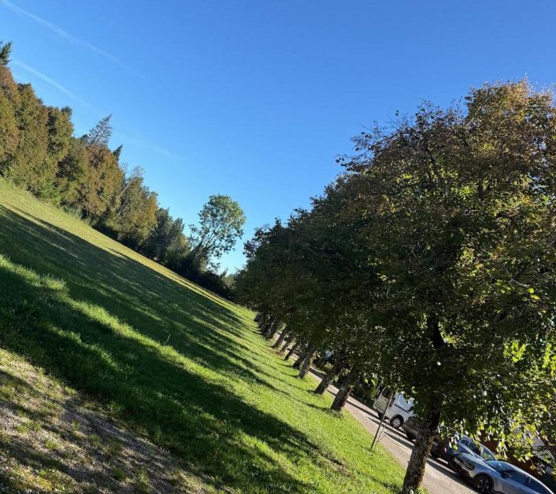 Photo of Others in Saint-Laurent-en-Grandvaux