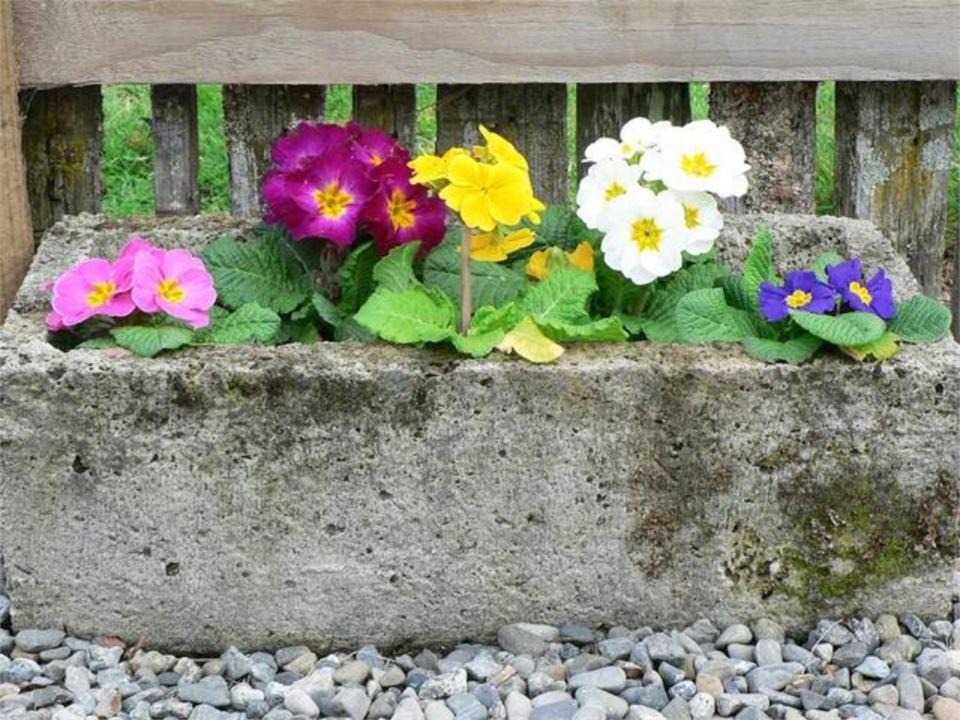 Photo of Others in Opaki