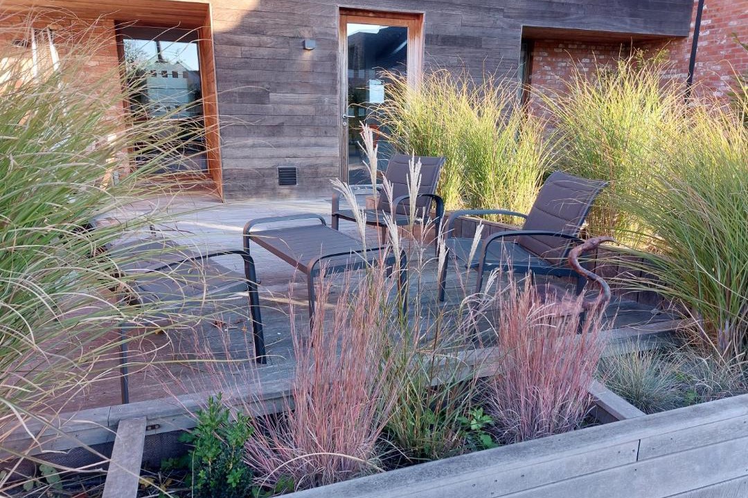 Photo of Others in Sameon