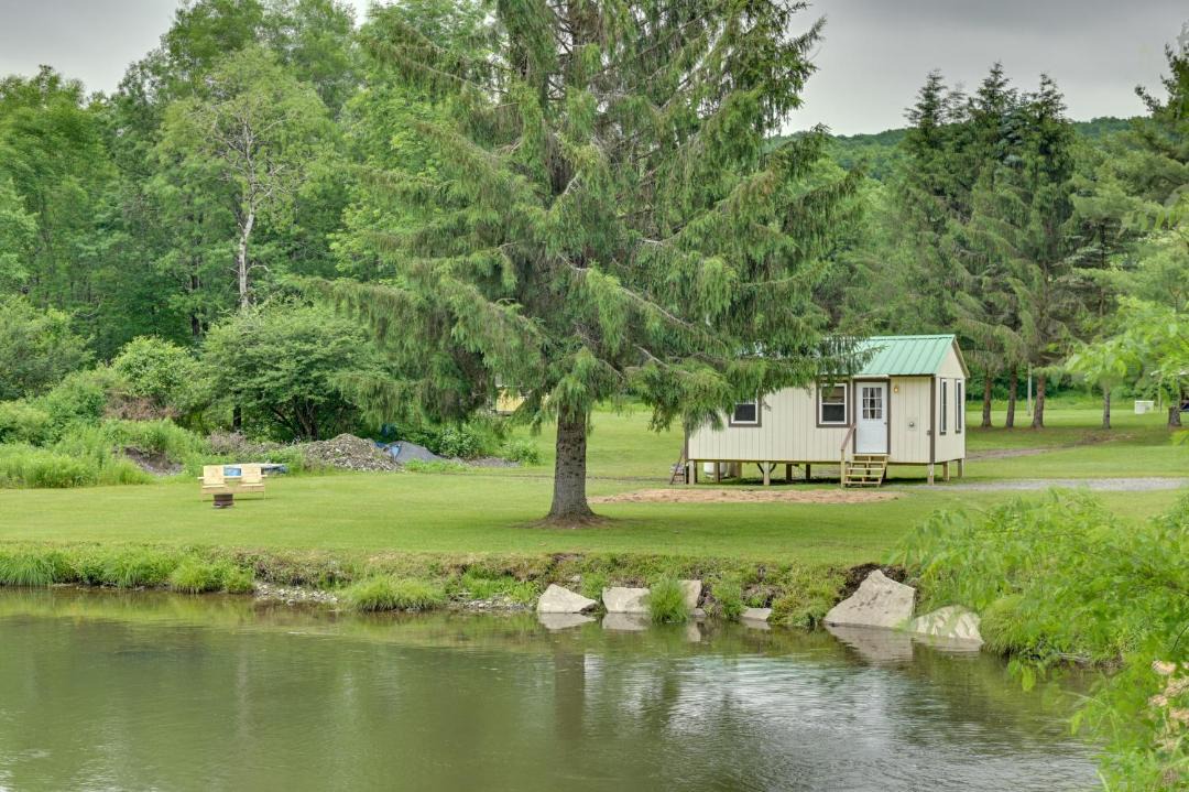 Photo of Others in West Edmeston