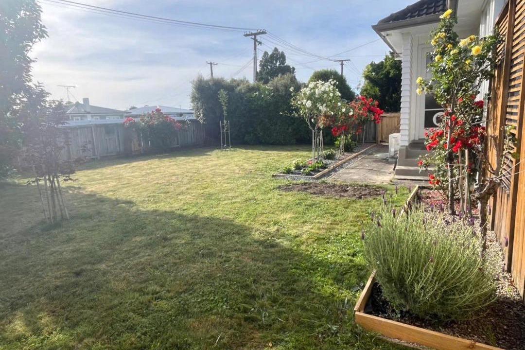 Photo of Others in Te Rapa