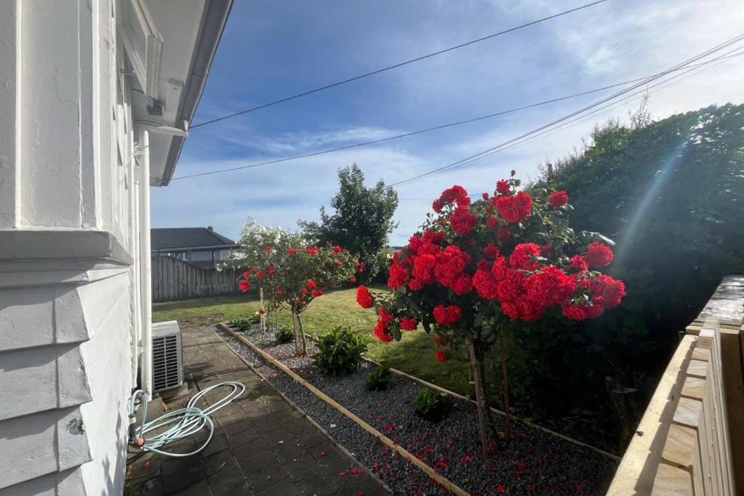 Photo of Others in Te Rapa