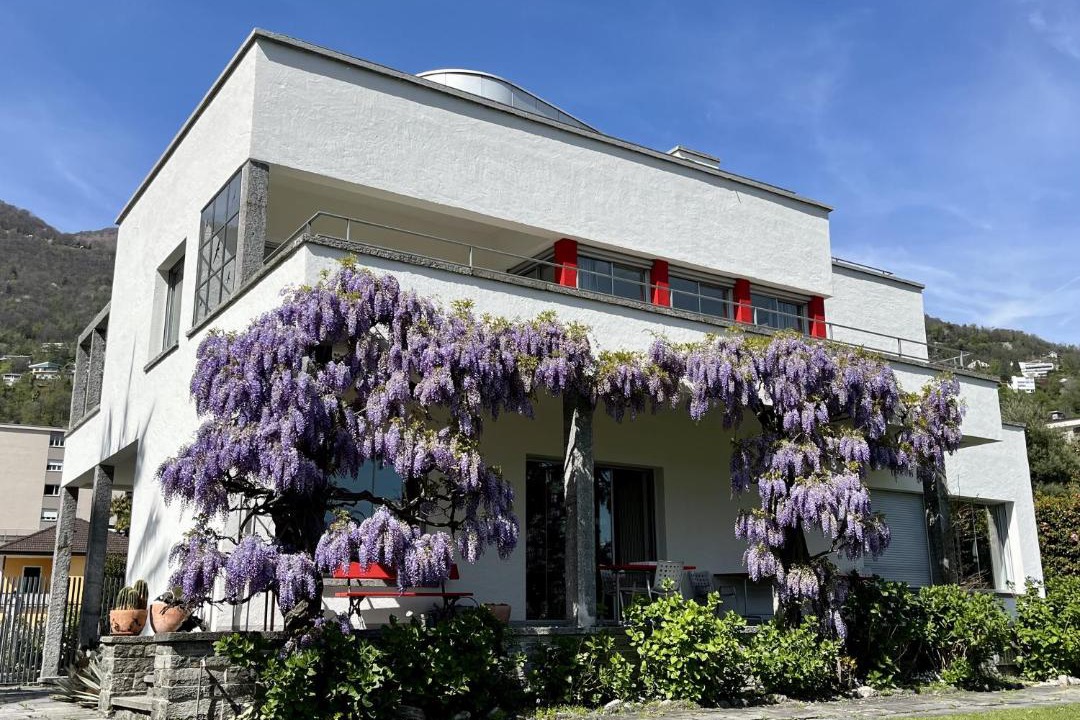 Photo of Others in Minusio