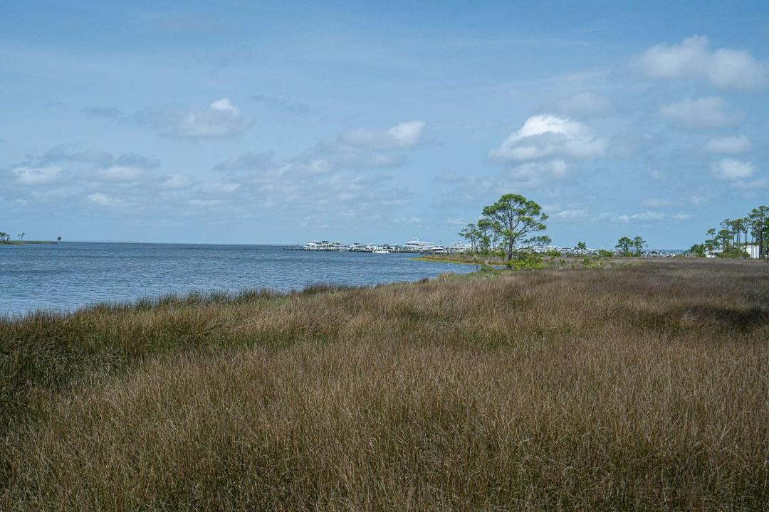 Photo of Others in Baytowne Wharf