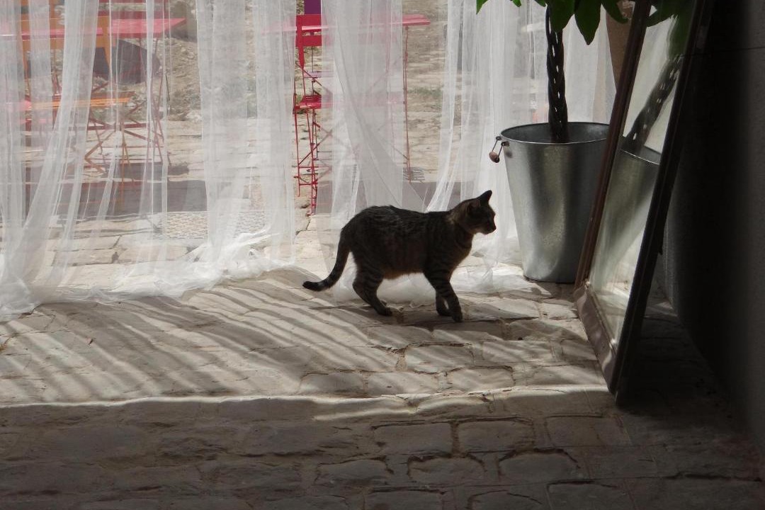 Photo of Others in Puiseaux