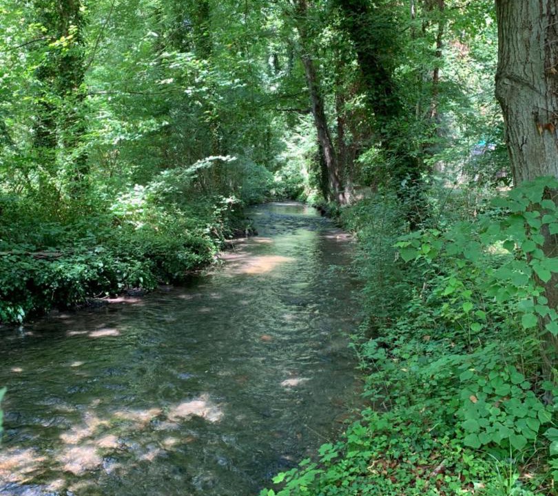 Photo of Others in Sery-Magneval