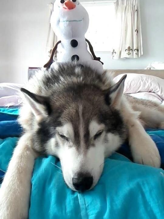 Photo of Others in Wellington