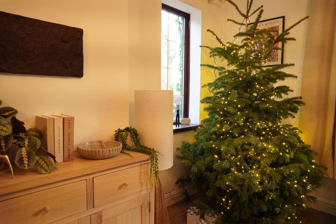 Photo of Others in Nantgarw