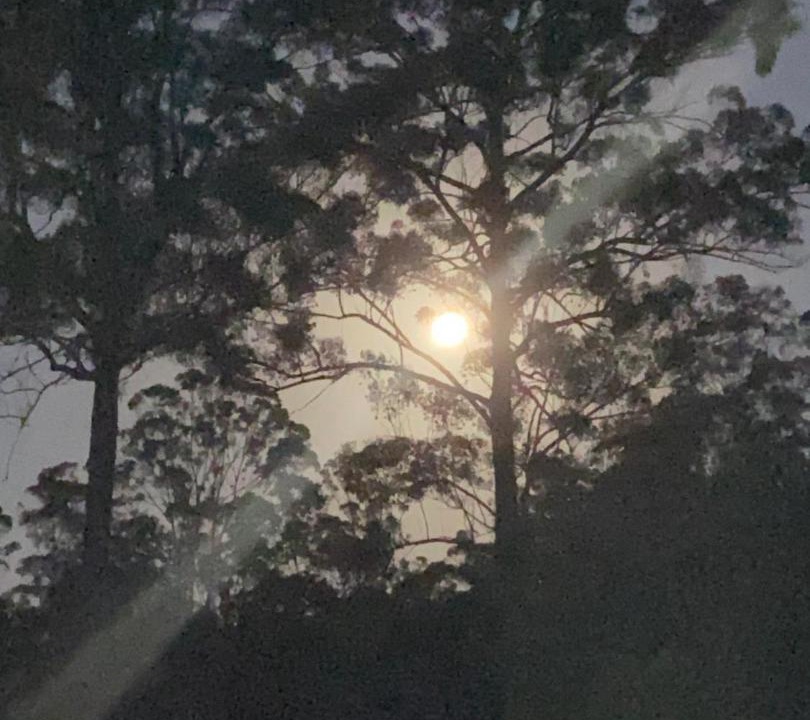 Photo of Others in Bentley