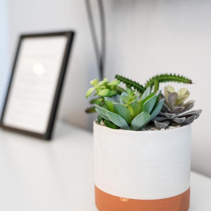 Photo of Others in Renton