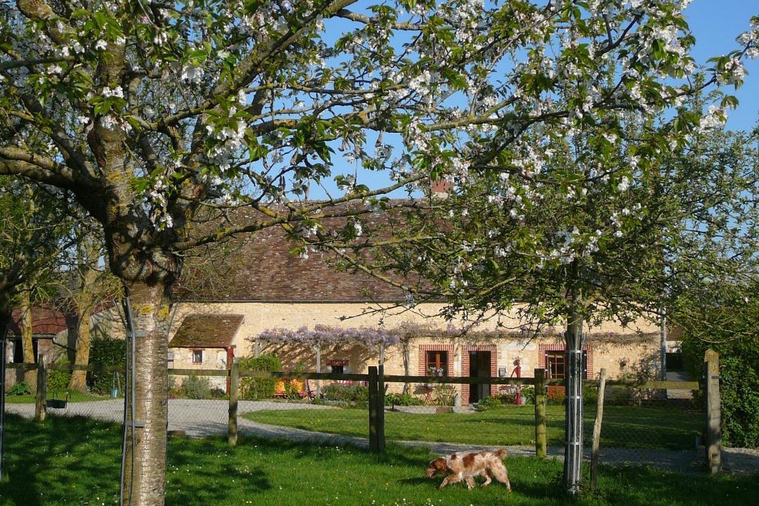 Photo of Others in Mortree