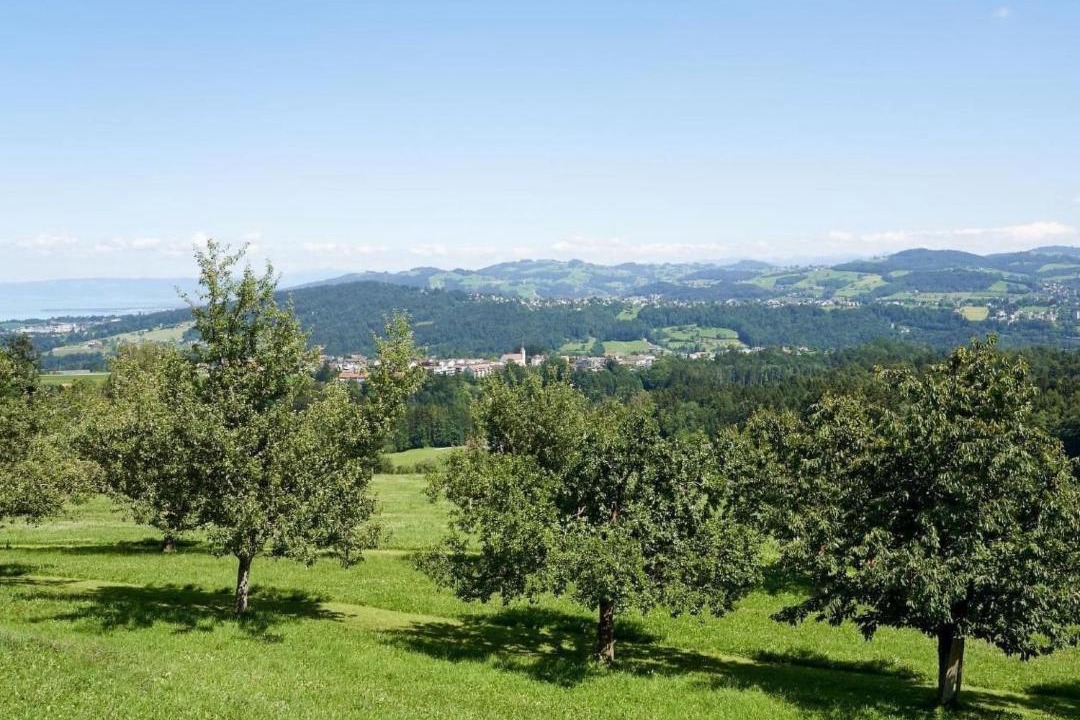 Photo of Others in Gaiserwald